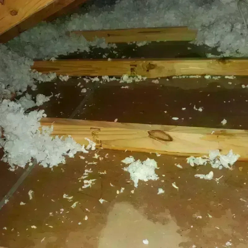 Attic Water Damage in Gray, TN